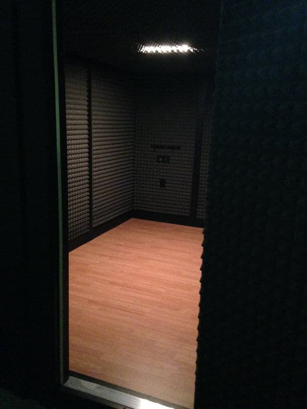 Empty soundproof room with padded walls and wooden flooring, door slightly open.